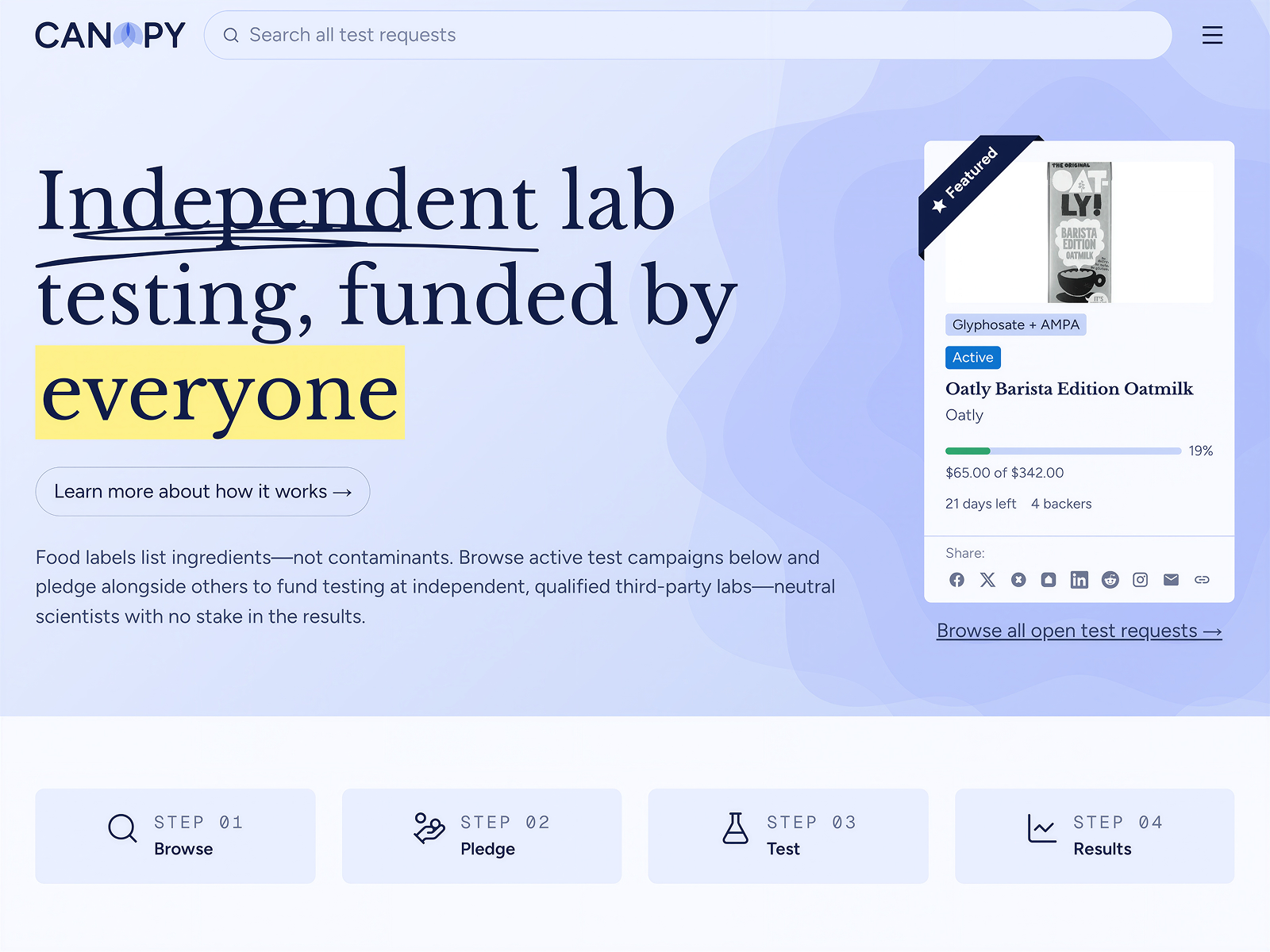 Custom Website Development portfolio project