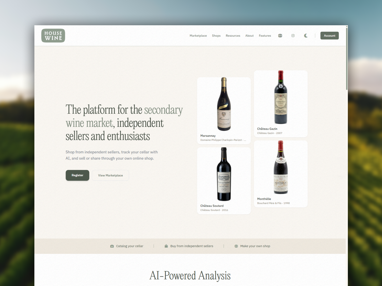 Custom Website Development portfolio project