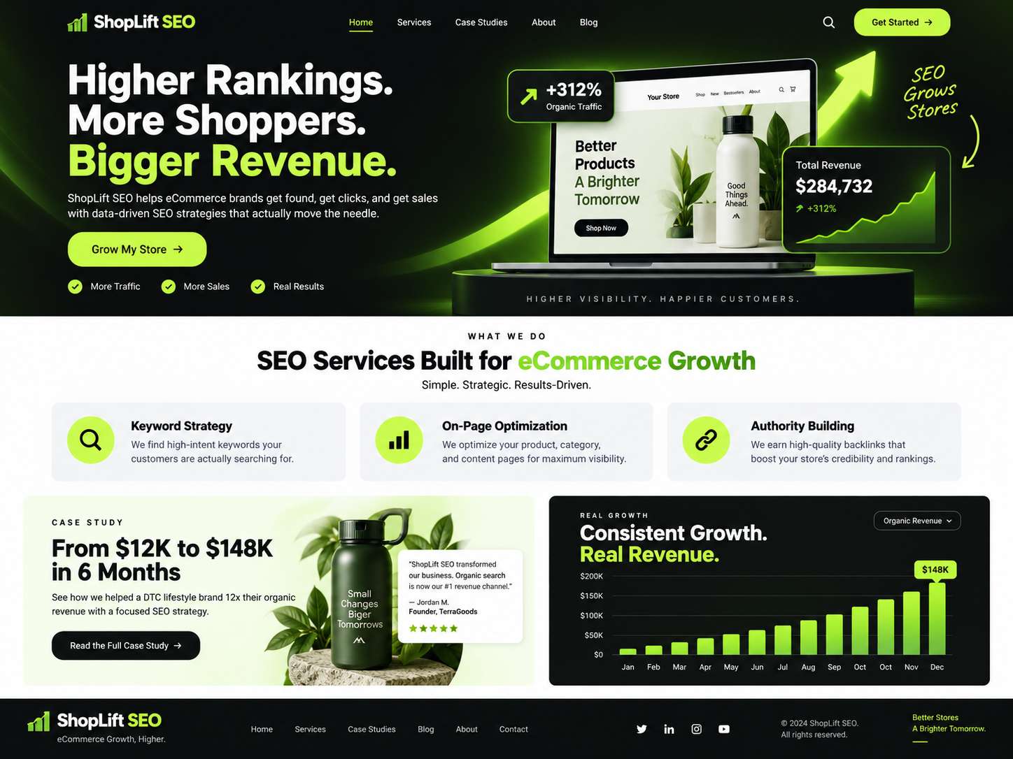 SEO portfolio project